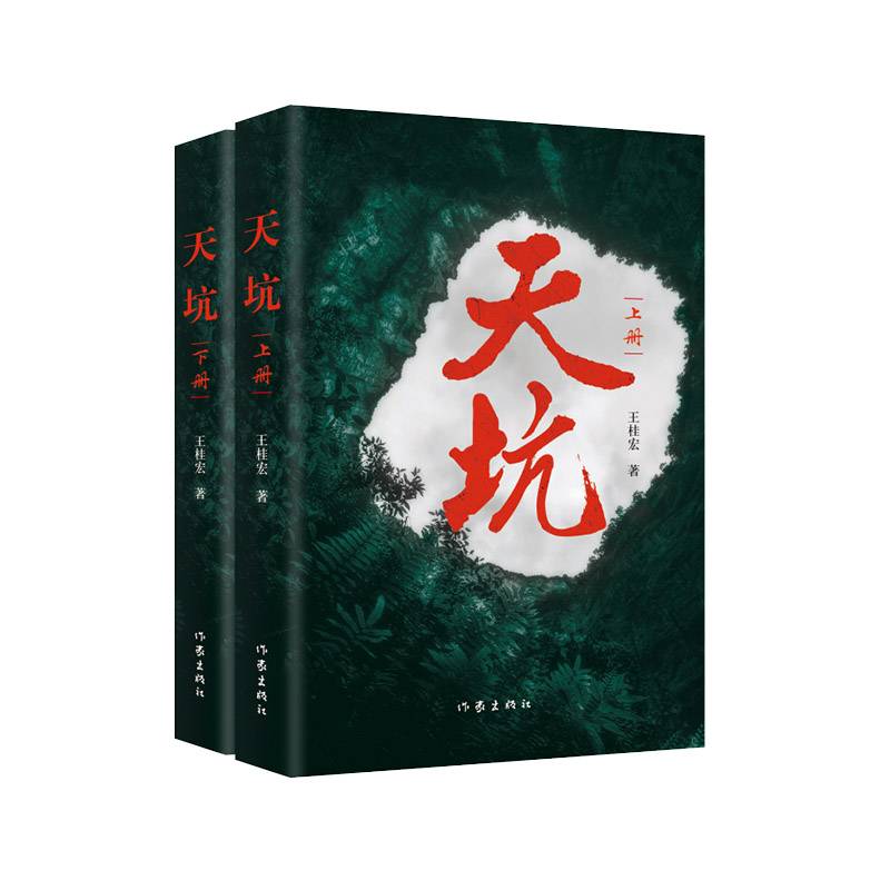 天坑（一部见证时代变迁的文学巨制）