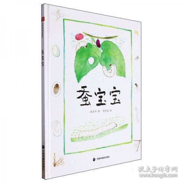 蚕宝宝