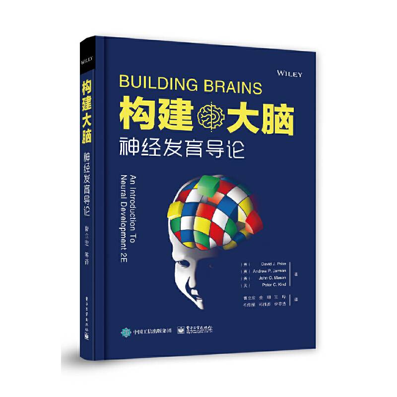 构建大脑