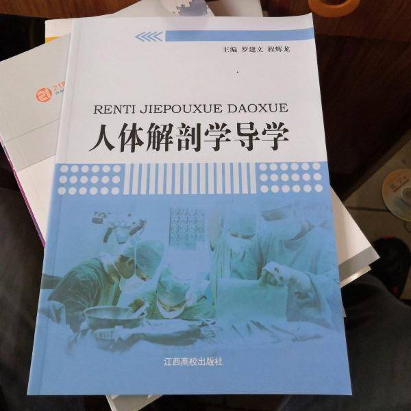人体解剖学导学