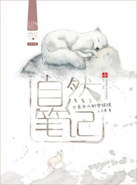自然笔记 长白山的雪狐狸