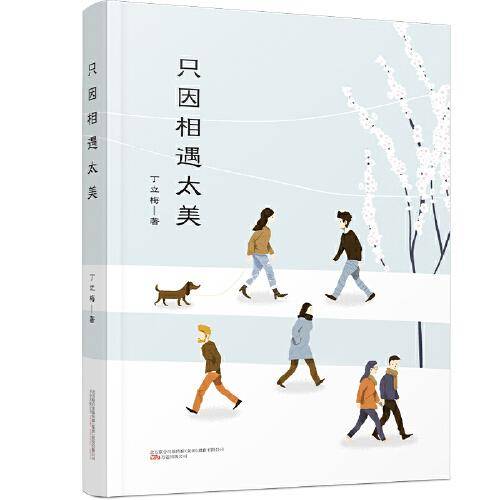 只因相遇太美（“暖心作家”丁立梅散文经典自选集, 中考语文阅读题热点作家）