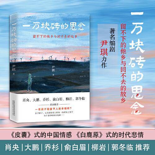 一万块砖的思念