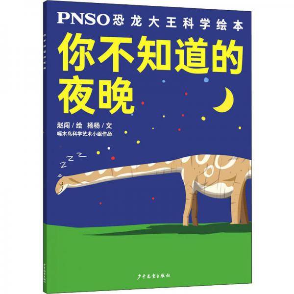 你不知道的夜晚