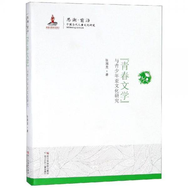 “青春文学”与青少年亚文化研究