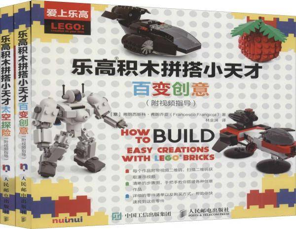 乐高积木拼搭小天才