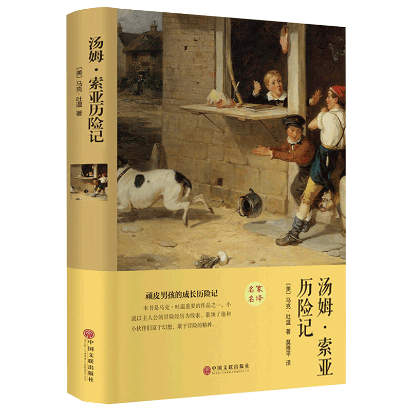 汤姆・索亚历险记