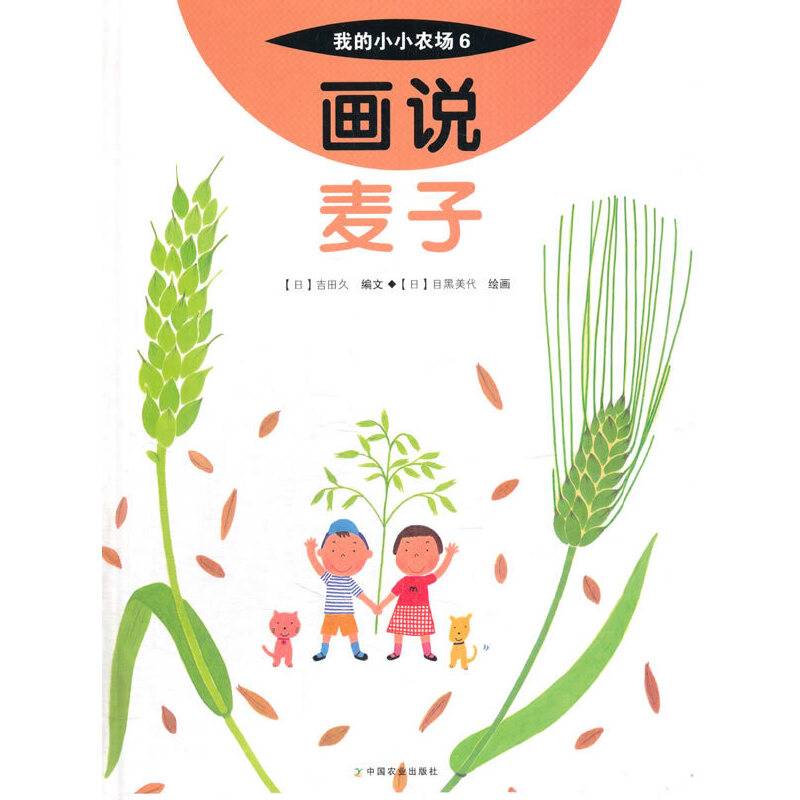 画说麦子
