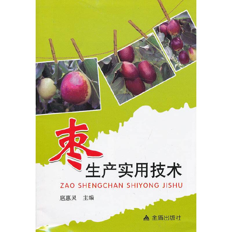 枣生产实用技术