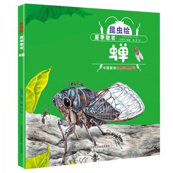 昆虫绘