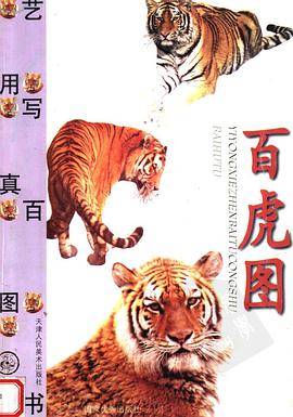 百虎图