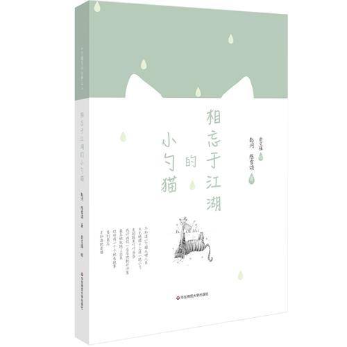 相忘于江湖的小勺猫