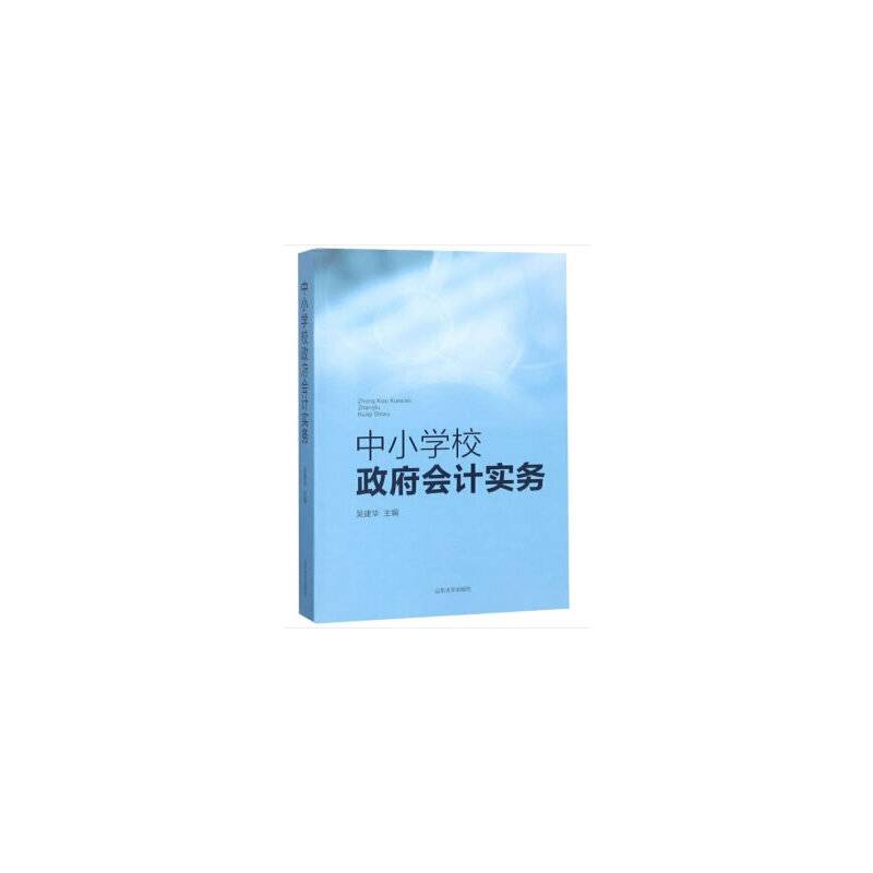 中小学校政府会计实务