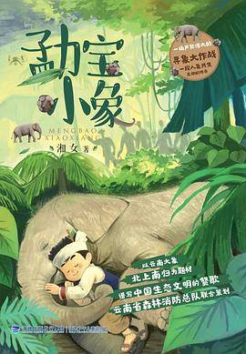 勐宝小象
