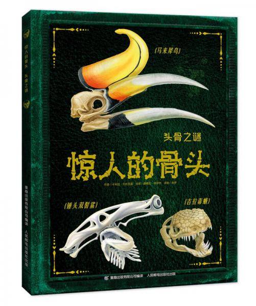 惊人的骨头 头骨之谜