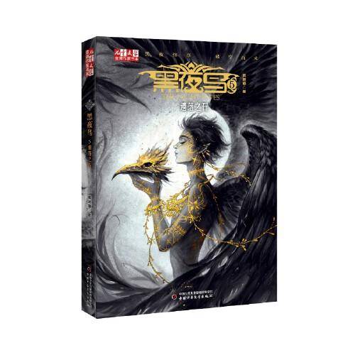 《儿童文学》金牌作家书系——黑夜鸟5·遗落之石