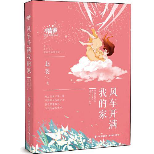 小青春——风车开满我的家