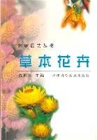草本花卉-家庭园艺丛书