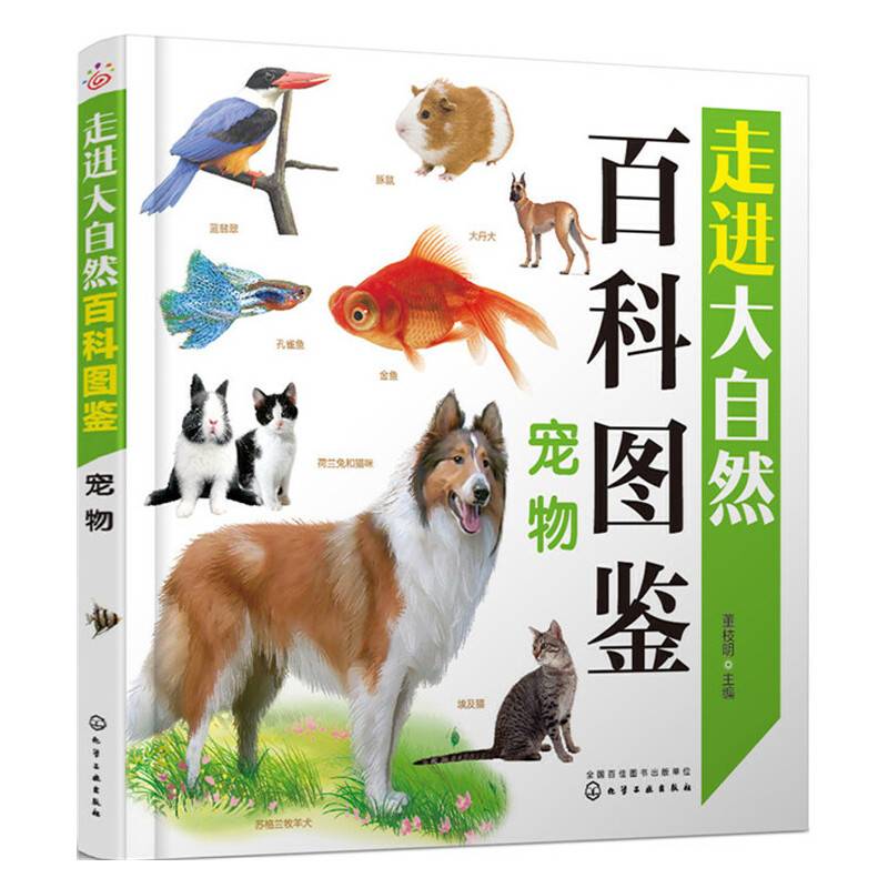 宠物