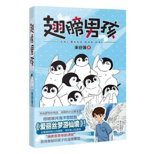 翅膀男孩(海洋冒险版《爱丽丝梦游仙境》，寻找梦想的男孩与小企鹅王子，以智慧和耐力，守护家人和朋友，“韩素音青年翻译奖”获得者献给孩子的温暖童话）
