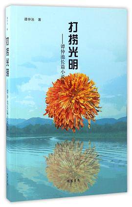 打捞光明--谭仲池长篇小说选