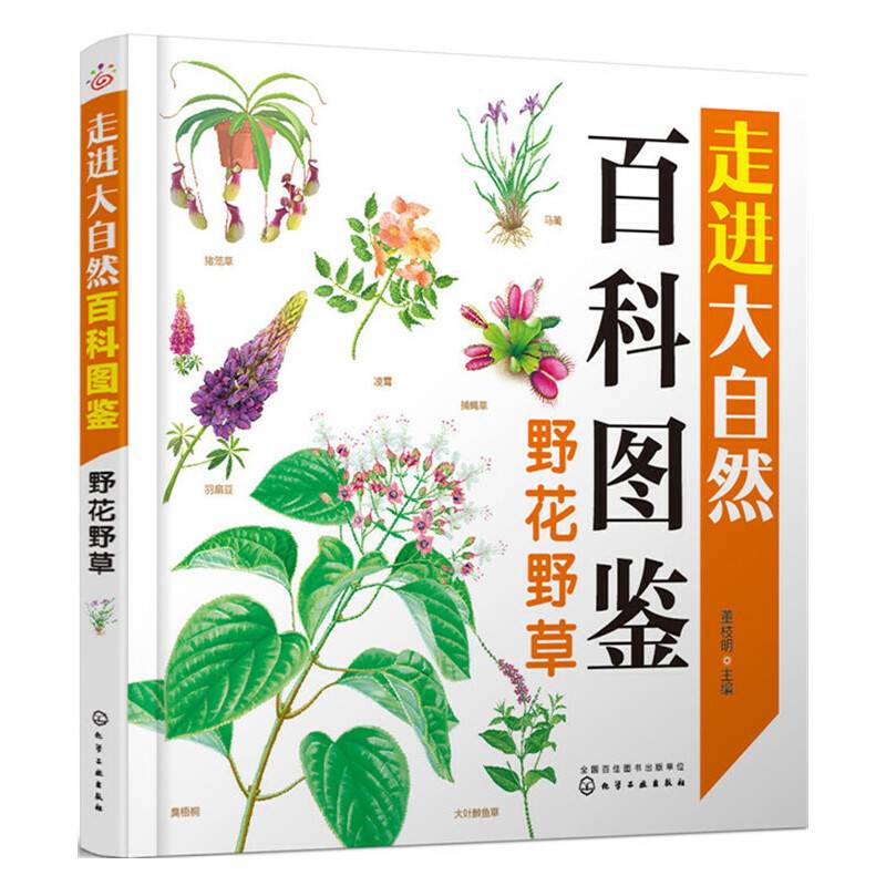 野花野草