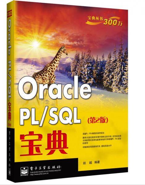 Oracle PL/SQL宝典（第2版）
