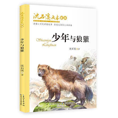 沈石溪画本（新版）：少年与狼獾