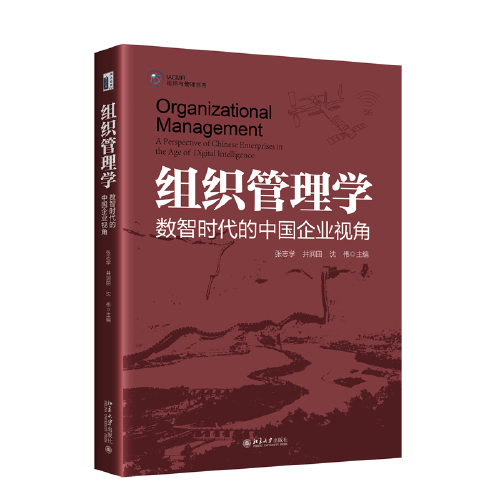 组织管理学：数智时代的中国企业视角 IACMR组织与管理书系