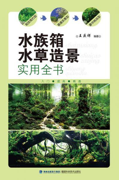 水族箱水草造景实用全书》