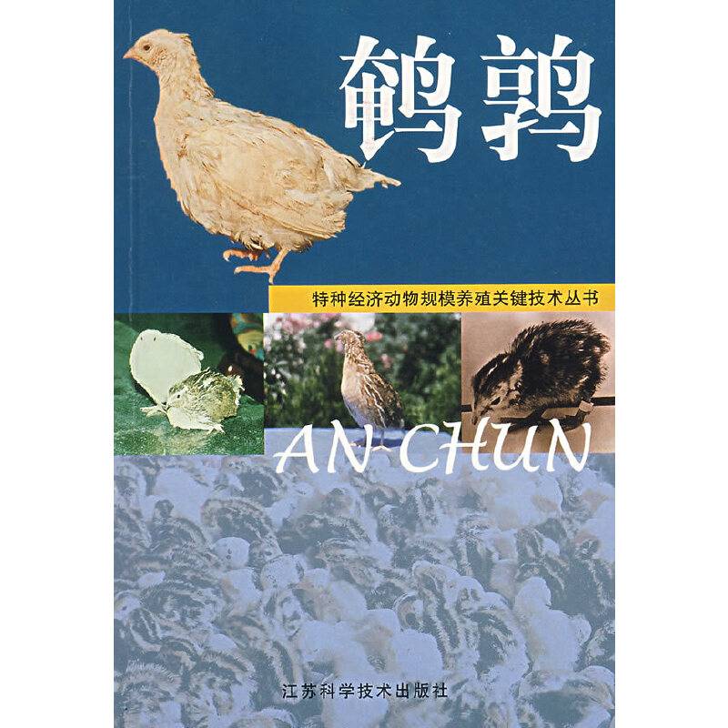 鹌鹑  特种经济动物规模养殖关键技术丛书