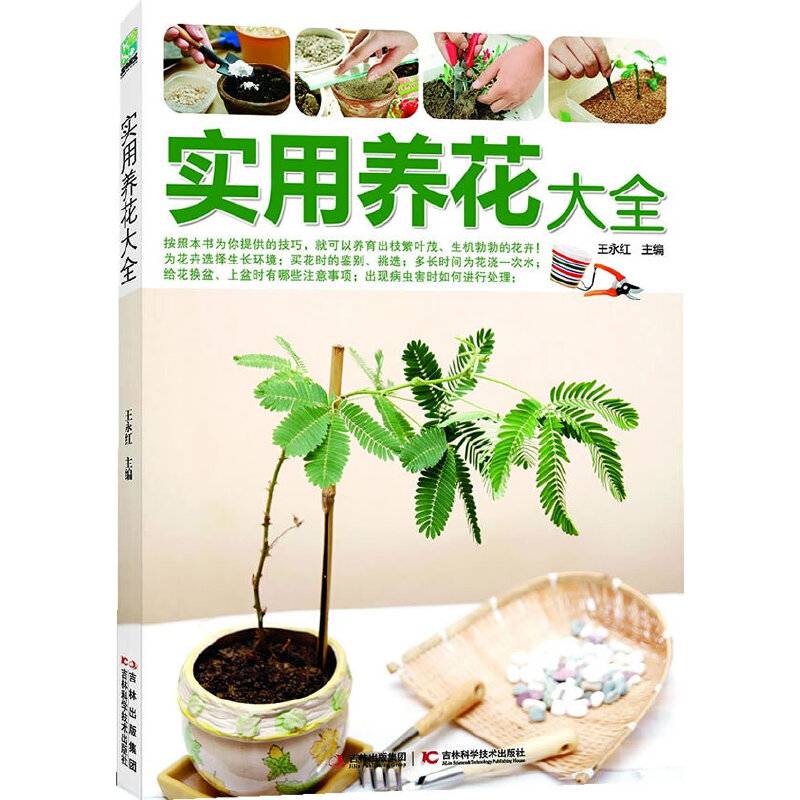 实用养花大全