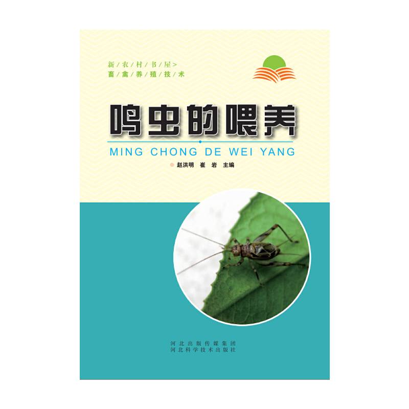 鸣虫的喂养