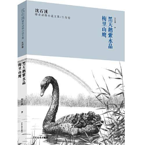沈石溪臻奇动物小说文集·生存卷：黑天鹅紫水晶、梅里山鹰
