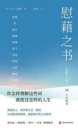 慰藉之书