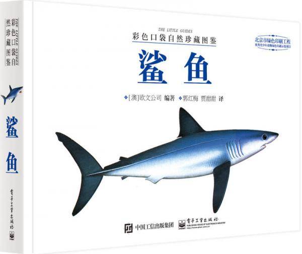 鲨鱼
