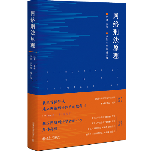 网络刑法原理（网络刑法体系教科书 陈兴良、梁根林、陈国庆、周加海专业推荐）