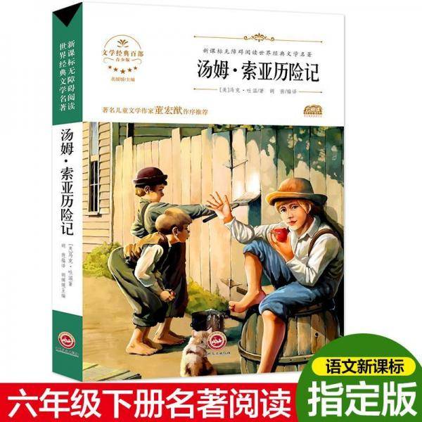 汤姆·索亚历险记