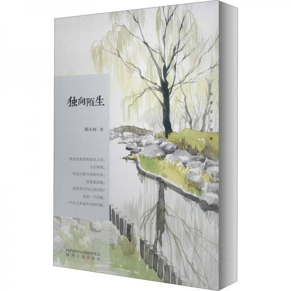 独向陌生/长安文心书系