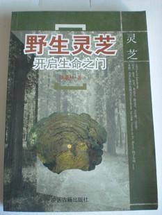 野生灵芝探秘与应用
