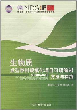 生物质成型燃料规模化项目可研编制方法与实践