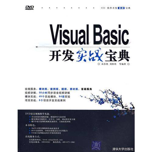 Visual Basic开发实战宝典