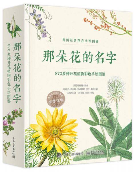 那朵花的名字