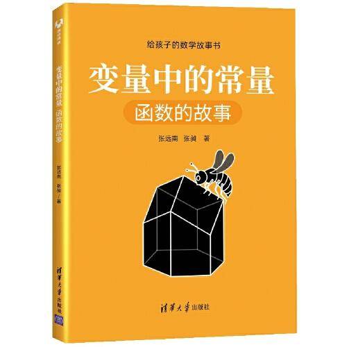 变量中的常量：函数的故事（给孩子的数学故事书）