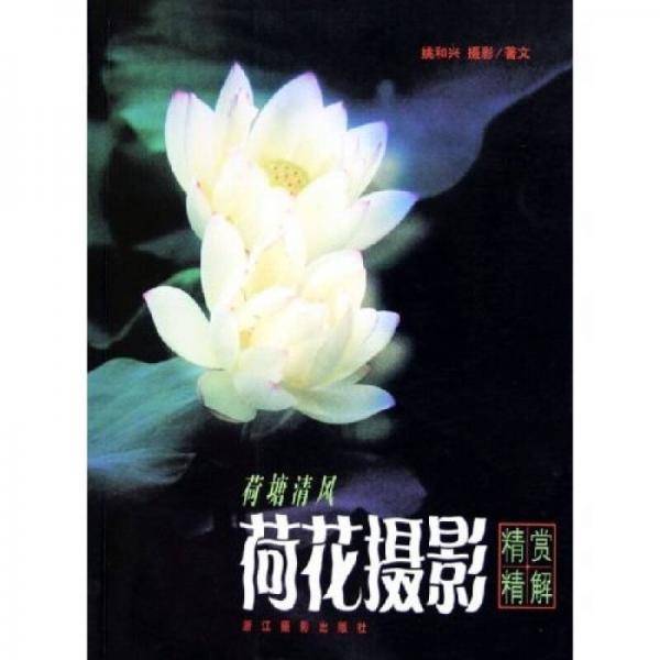 荷塘清风