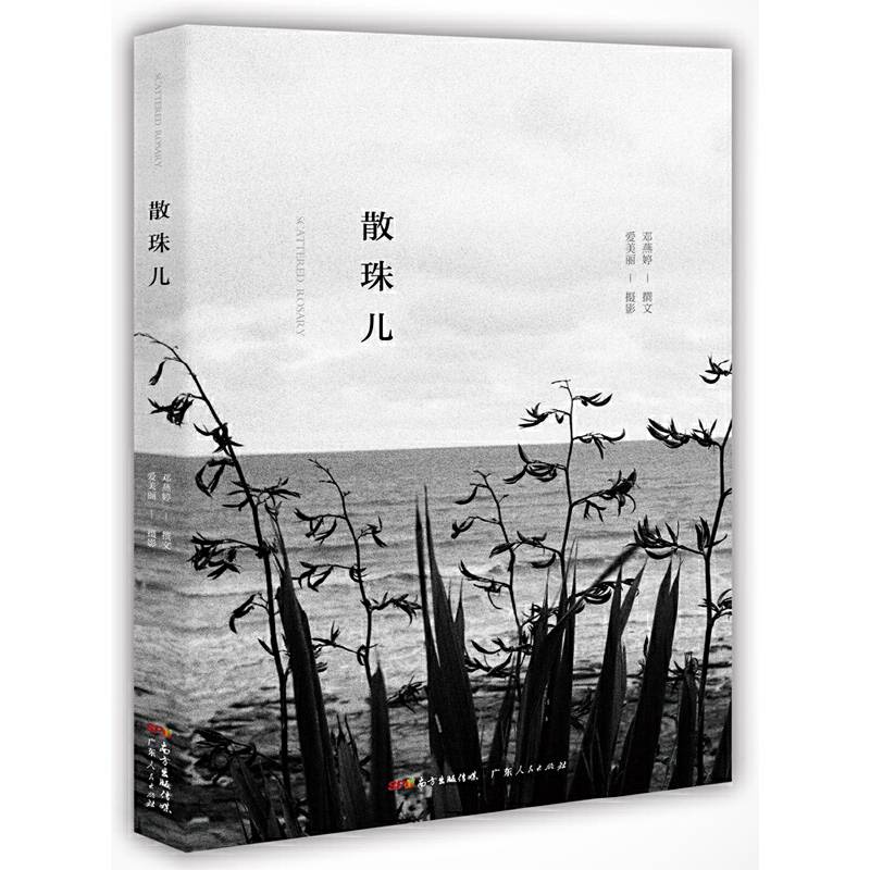 散珠儿
