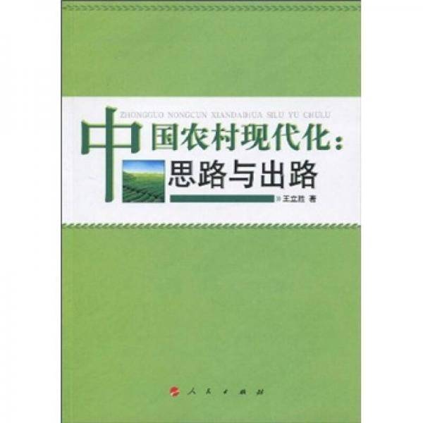 中国农村现代化