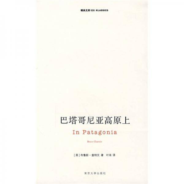 巴塔哥尼亚高原上