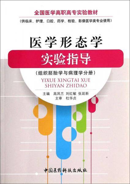 医学形态学  实验指导