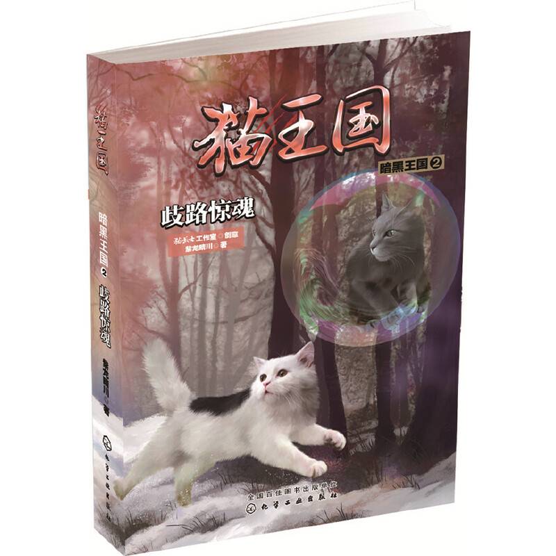 猫王国・暗黑王国.2，歧路惊魂